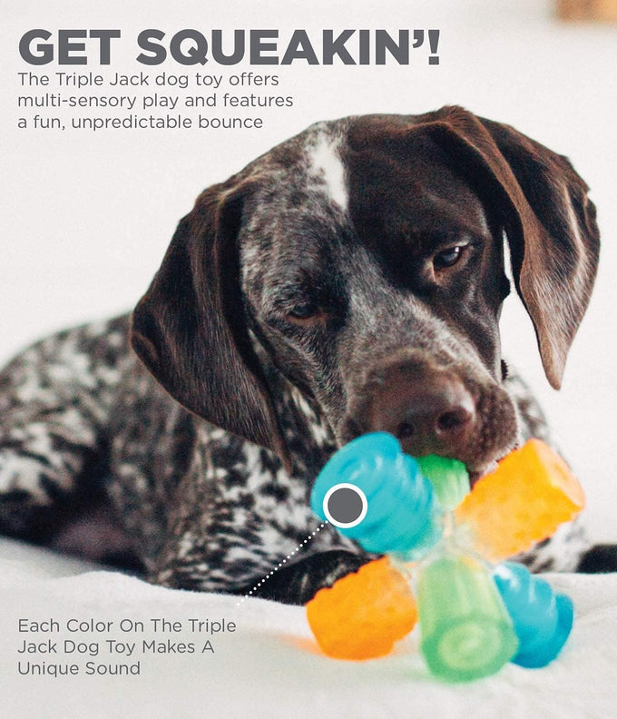 Outward Hound Triple Jack Interactive Multi-Squeak Dog Toy with Colorful Textures for Indoor and Outdoor Play