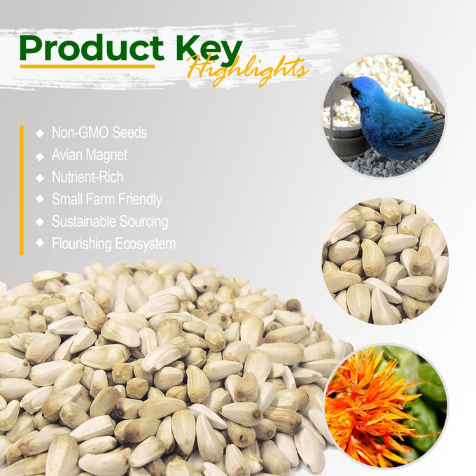 Old Potters Non-GMO Safflower Seed for Wildlife Bird Feeding, USA Small Farm Grown, 6 lbs, 8 lb bag
