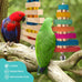 dbness large parrot hanging chew toy 2 pcs wooden block with bell for medium to large parrots and cockatiels