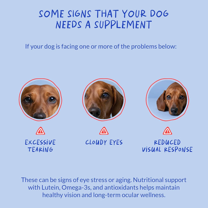 Eye Support for Dogs, 90 Soft Chews, with Cod Liver Oil and Omega 3 Fatty Acids