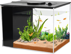 AquaNeat 1 gallon betta fish tank kit with LED light and self-cleaning water filter pump