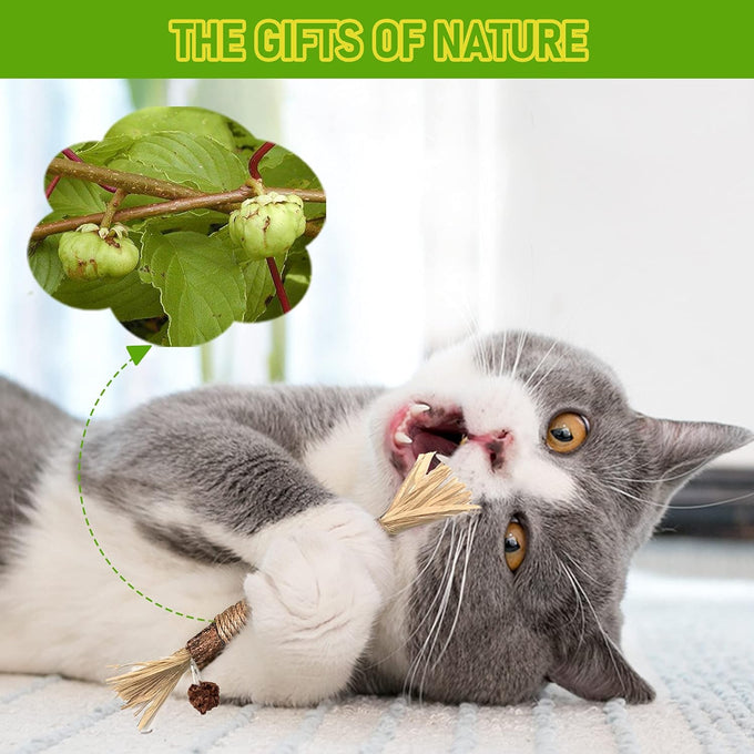 BAWAN 5PCS Silvervine Cat Chew Sticks for Indoor Cats Interactive Teething Toys for Kitten Aggressive Chewers