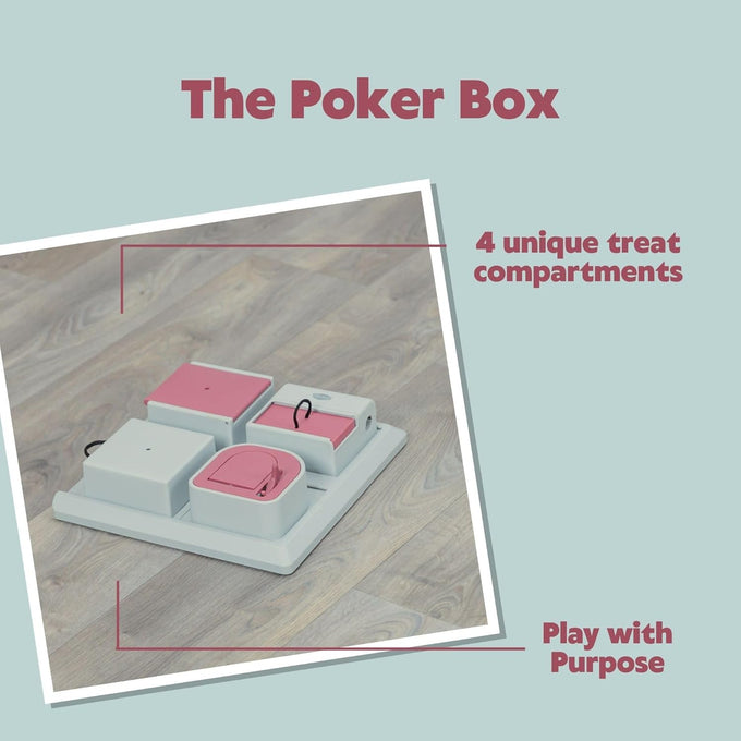 Trixie cat activity poker box strategy game with 4 modules for mental stimulation and slow feeding pink gray 12.2 x 12.2 x 2.5 in