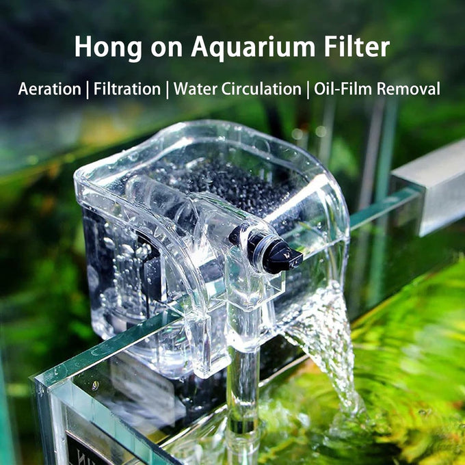 1.7 gallon acrylic aquarium starter kit with LED light and quiet filter, desktop betta fish tank for office or home