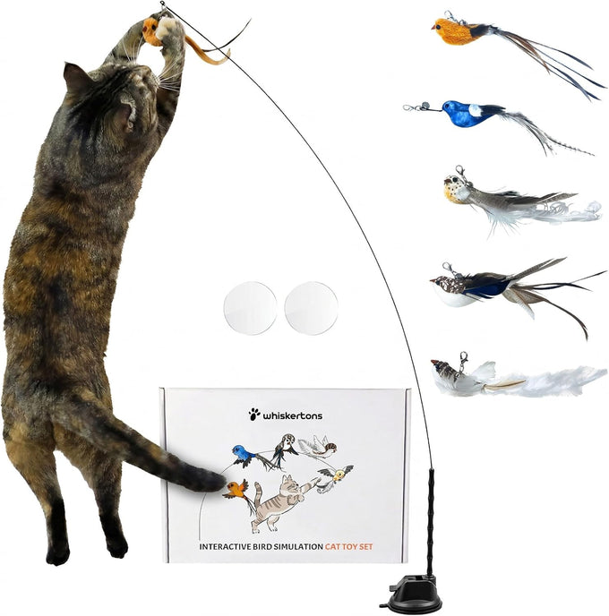 Whiskertons Interactive Bird Simulation Cat Toy Set for Indoor Cats with Suction Base, 5 Replacement Birds, Feathers & Bells