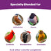 kaytee 5lb premium wild bird seed blend for songbirds, cardinals, chickadees and more