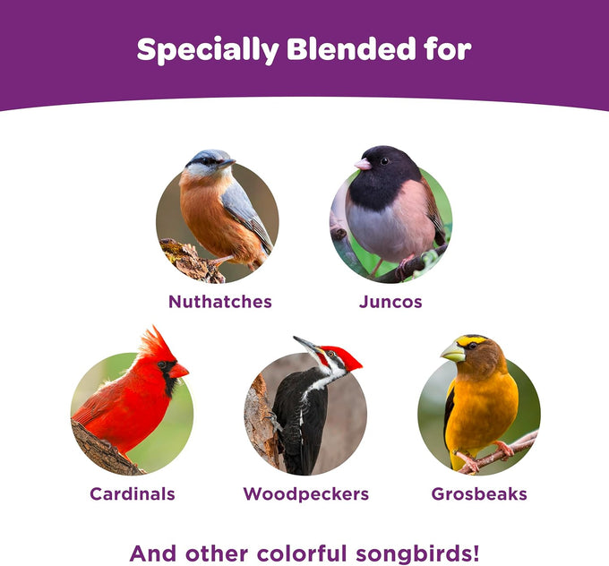 kaytee 5lb premium wild bird seed blend for songbirds, cardinals, chickadees and more