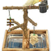 LIMIO natural wood bird toys playground, 2 stainless steel cups, removable tray, small to medium bird accessories
