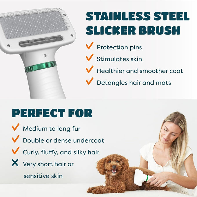 2-in-1 pet dryer with slicker brush for small dogs and cats, 300 watts, adjustable temperature