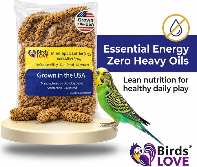 millet-tips-tails-for-parakeets-cockatiels-lovebirds-1lb-usa-grown