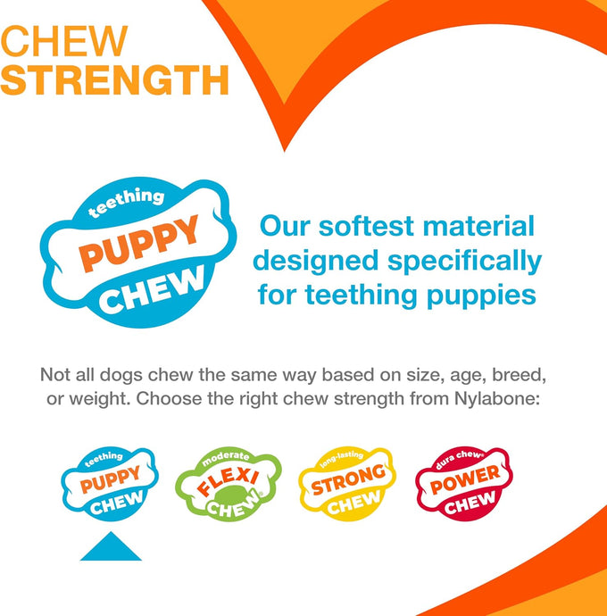 Nylabone chicken flavored teething ring bone toy for x-small puppies up to 15 lbs 1 count