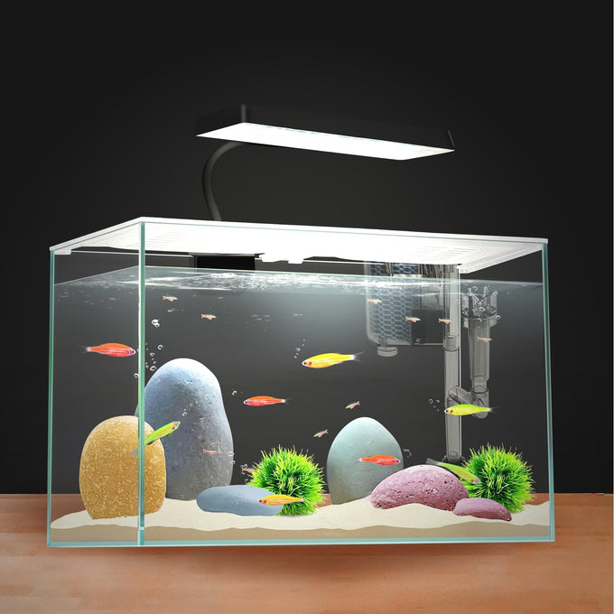 12.6" L 3-gallon nano glass aquarium with separator plate, LED light, filter for betta, multi-functional square fish tank, white 4mm glass