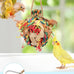 Wontee colorful crinkly shredding toys for medium-sized birds like cockatiels, conures, and parakeets, 1 pack, natural dried fruits chew