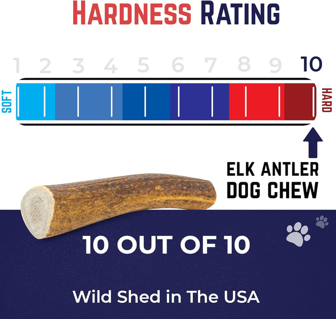 Devil Dog Pet Co. Medium 5+ USA Sourced Natural Elk Antler Dog Chew for Aggressive Chewers