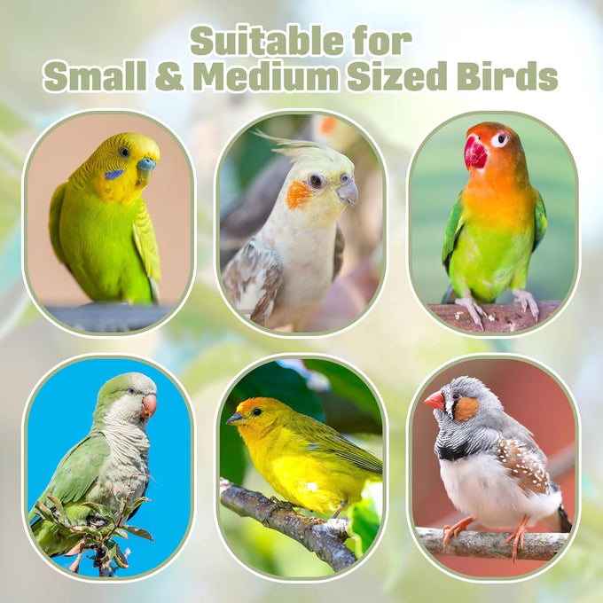 BNOSDM wooden bird foraging toy with natural wood stand platform for parrots, parakeets, cockatiels, sun conures
