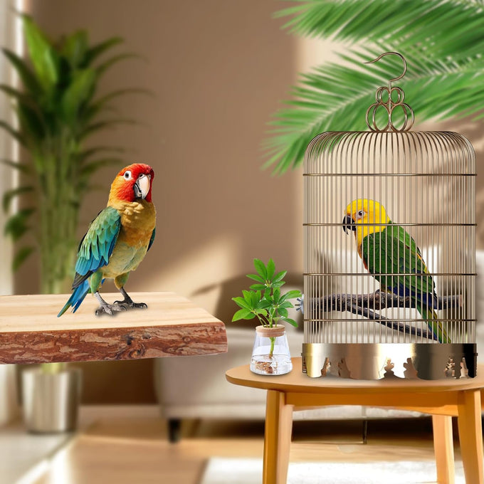 parakeet perch budgie perch wood stand fork toys multi-branch perch platform toy for small conures cockatiel parrotlet lovebird parrot finches