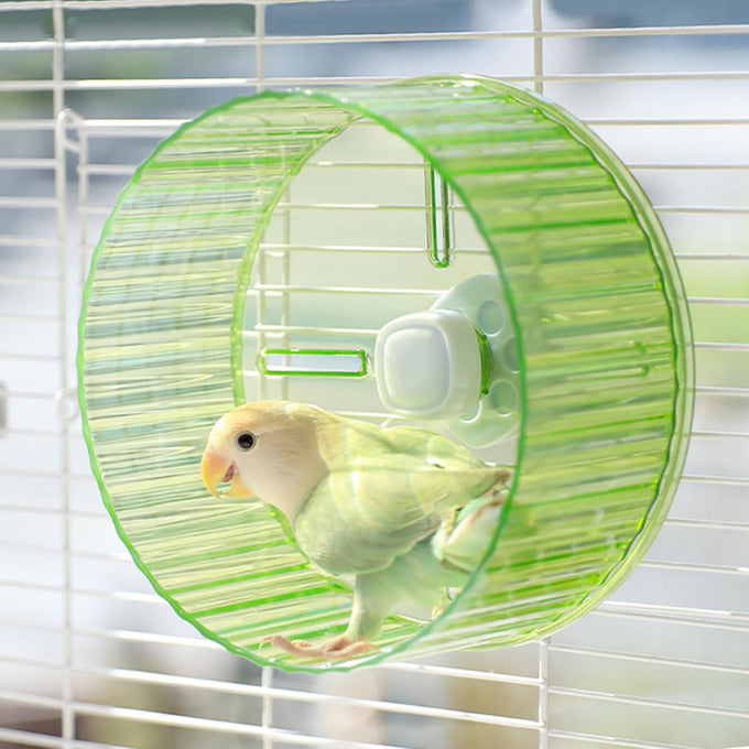 6.8-inch parrot silent exercise wheel, parrot exercise wheel, green