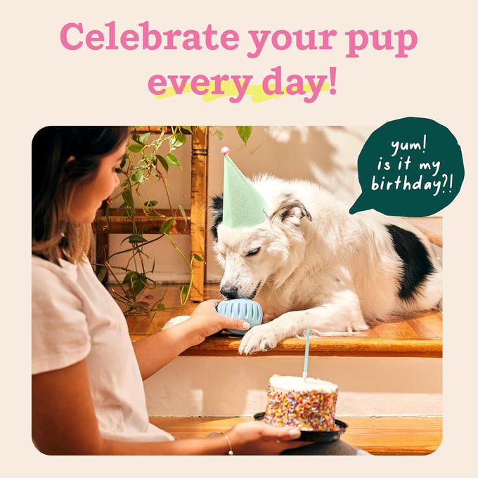 Buddy Blue Party Pupsicle Long-Lasting Interactive Dog Toys for Large Dogs Birthday Gifts Low-Mess Design