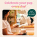 Buddy Blue Party Pupsicle Long-Lasting Interactive Dog Toys for Large Dogs Birthday Gifts Low-Mess Design
