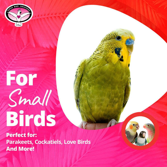 Super Bird Creations SB747 Mini Flying Trapeze Bird Toy for Small Birds, 6” x 7” x 9”
