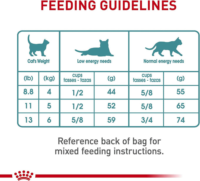 Royal Canin Feline Care Nutrition Hairball Care Adult Dry Cat Food, 6 lb Bag
