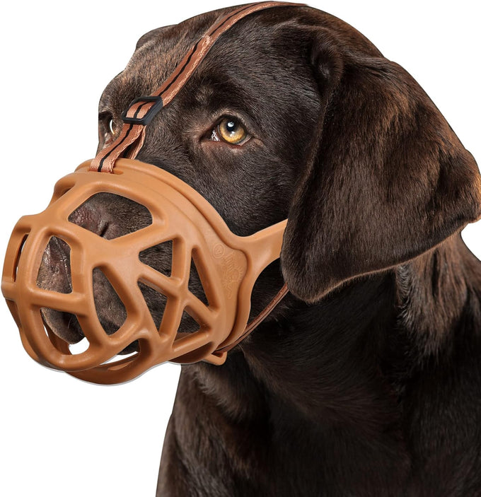 Barkless dog muzzle for biting, chewing and scavenging, humane cage mouth cover for medium aggressive reactive dogs, black, medium