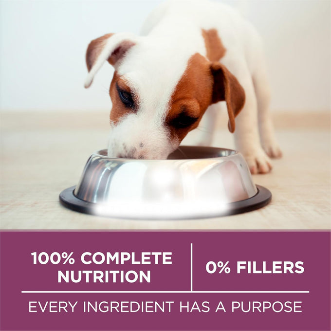 Purina ONE Healthy Puppy Formula Natural Dry Dog Food - 8 lb