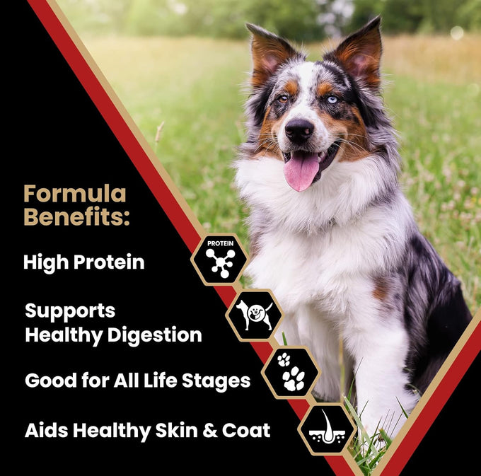 Victor Super Premium Gluten-Free High Protein Low Carb Dry Kibble for Active Dogs of All Ages, 5lbs