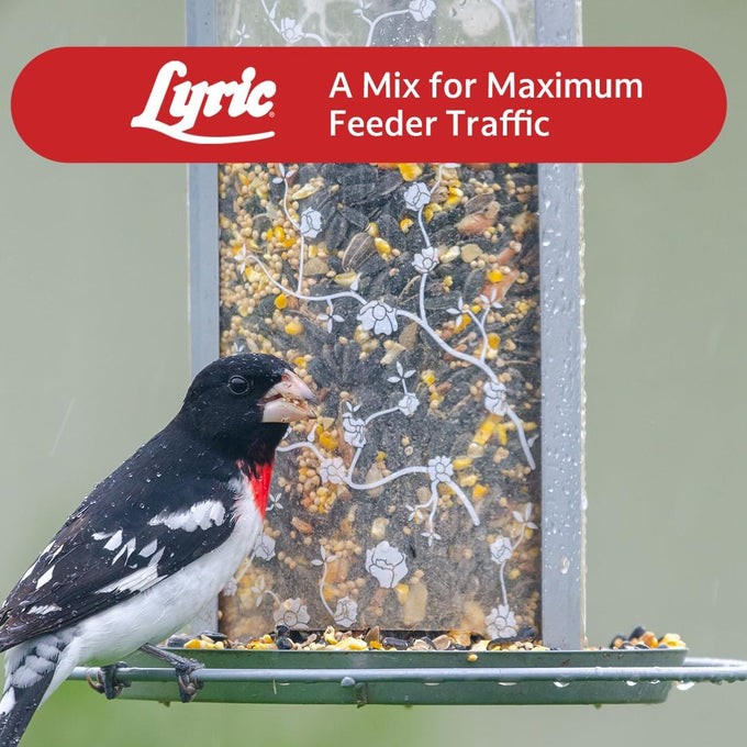 lyric-supreme-4-5-lb-wild-bird-food-mix-with-nuts-sunflower-seeds-for-outside-feeders