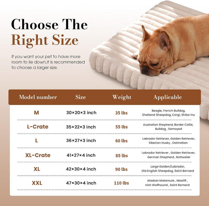 large dog beds with orthopedic support, waterproof lining, and plush surface