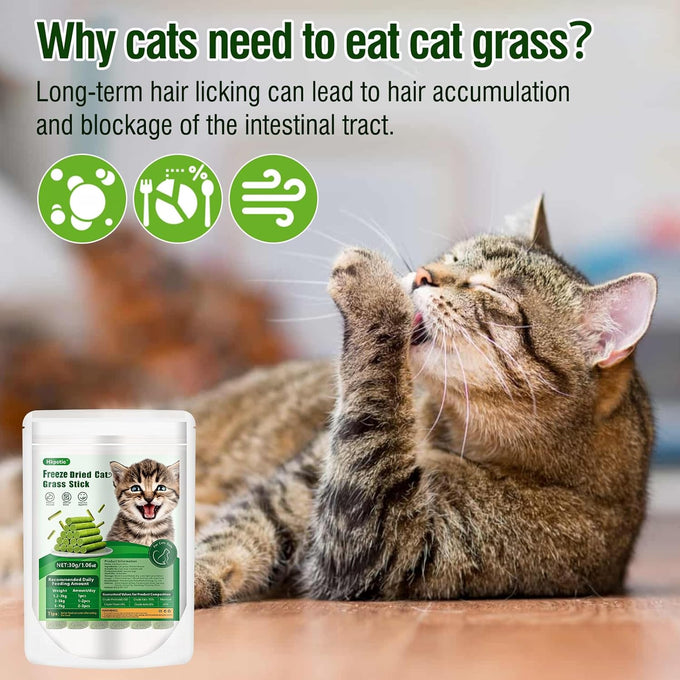 30g cat grass sticks for cats, delicious edible chew toy treats for teeth cleaning and hairball removal
