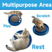 lyctdd Interactive Blue Cat Ball Track Toy with Scratching Board & Exercise Set for Indoor Cats and Kittens