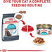 Royal Canin Feline Care Nutrition Urinary Care Adult Dry Cat Food, 6 lb Bag