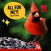 Cool Birds Cardinal & Crew 10 lb Black Oil Sunflower Blend for Cardinals, Grosbeaks & Chickadees Bird Food