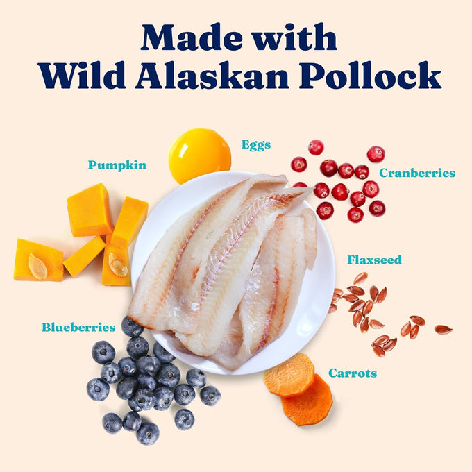 Solid Gold Alaskan Pollock High Protein Dry Cat Food - Grain Free, Gluten Free, Probiotics, Omega 3, Low Carb Kibble - All Ages, 12LB