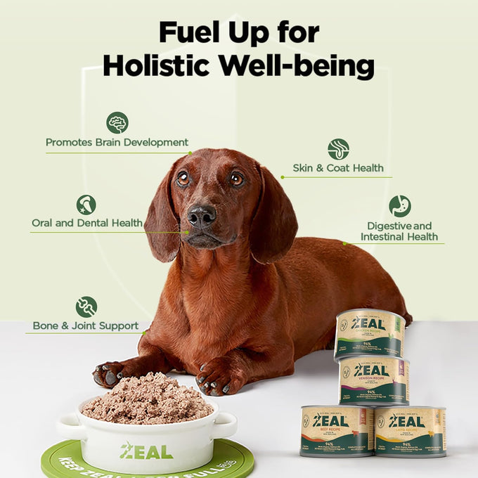 ZEAL Canned Wet Dog Food - High Protein, Grain-Free