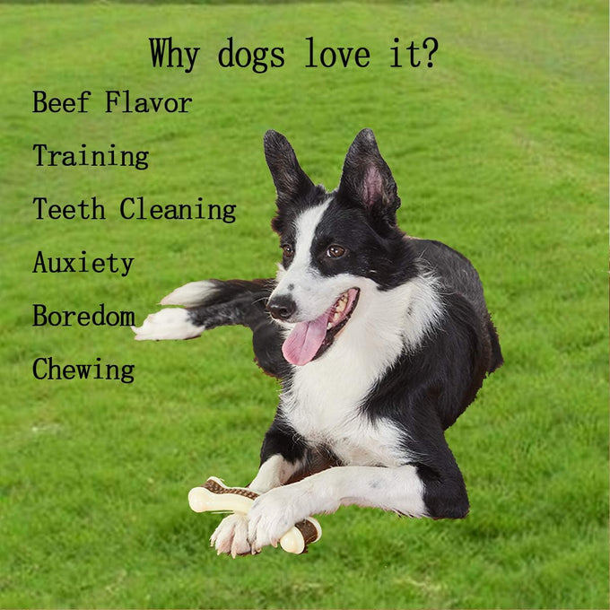 Nylon dog chew toys, 2 pack, beef flavor, indestructible, teething, bone shape, large, medium, small puppies