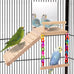 KyoukiBird Perch Platform Bird Toys with Mirror Climbing Ladder Swing for Cockatiels, Lovebirds, Budgies and More - Wooden Parakeet Cage Accessories