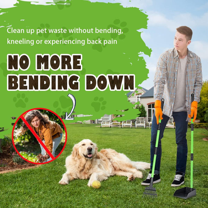 mxf pooper scooper, stainless metal tray and rake set, medium small dog use, long handle, heavy duty, pet supplies, green
