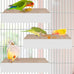 Katumo 7.8 Inch Paper Bird Chew Toy for Parakeet, Cockatiel, Conure, Budgie, Lovebird, and Small Birds