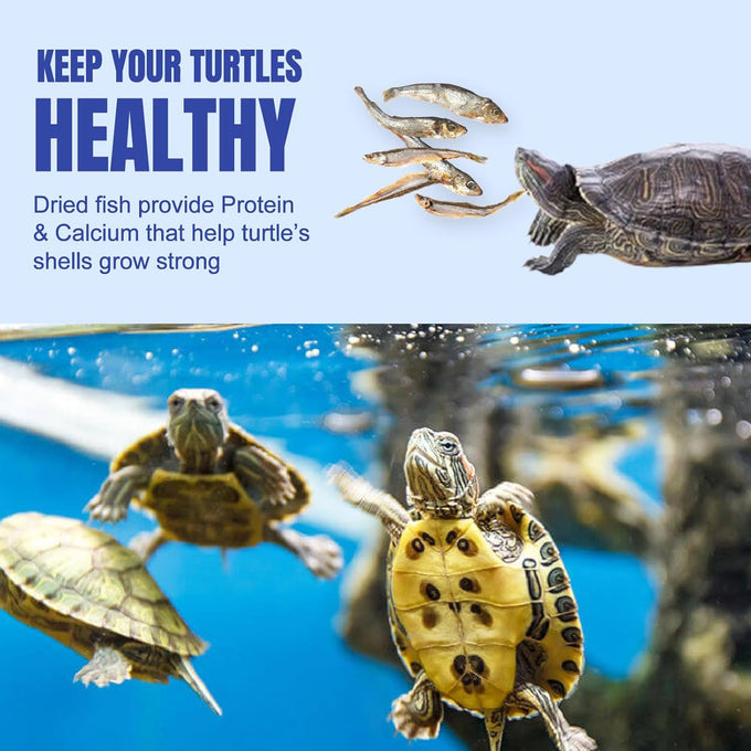 Amzey 2.3 oz dried whole river fish for turtles, terrapins, reptiles, and large tropical fish - natural and healthy