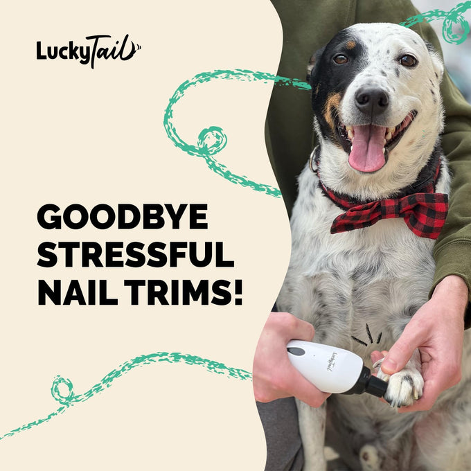 luckytail super quiet low vibration electric dog nail grinder with 2 led lights usb rechargeable 2 speeds small to large pets