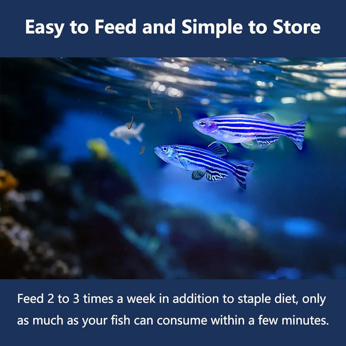 Jadingsfram freeze dried bloodworms fish food for freshwater saltwater tropical fish aquarium