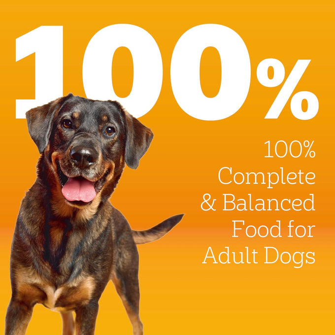 Pedigree High Protein Adult Dry Dog Food, Beef & Lamb, 18 lb