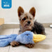 Best Pet Supplies Crinkle Dog Chew Toy, Ideal for Small, Medium & Large Dogs, Crinkle Duck (Yellow), Large