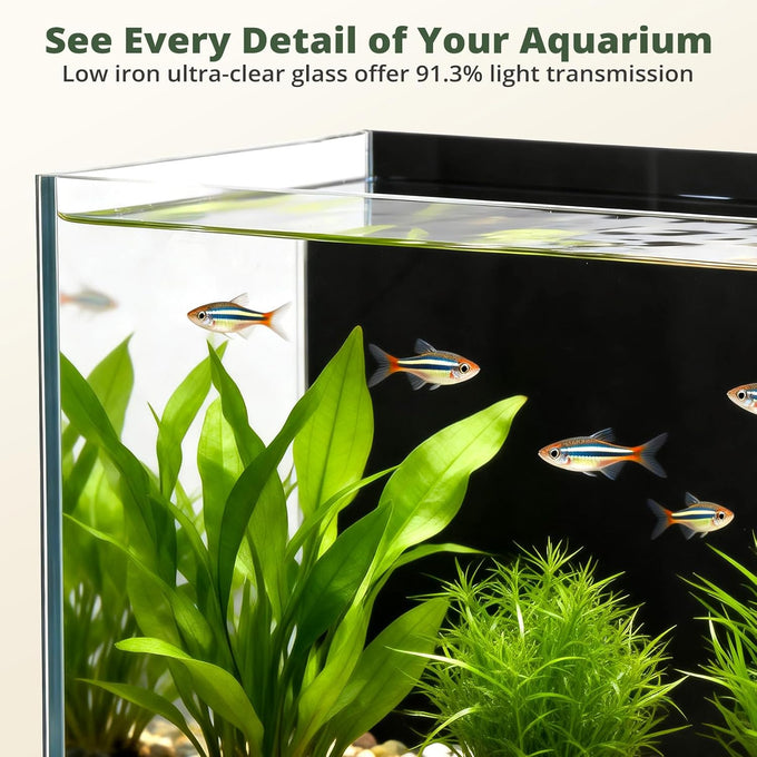2.5 Gallon Small Fish Tank Aquarium Kit with Ultra-Clear Glass and LED Light for Desktop or Beginner Use