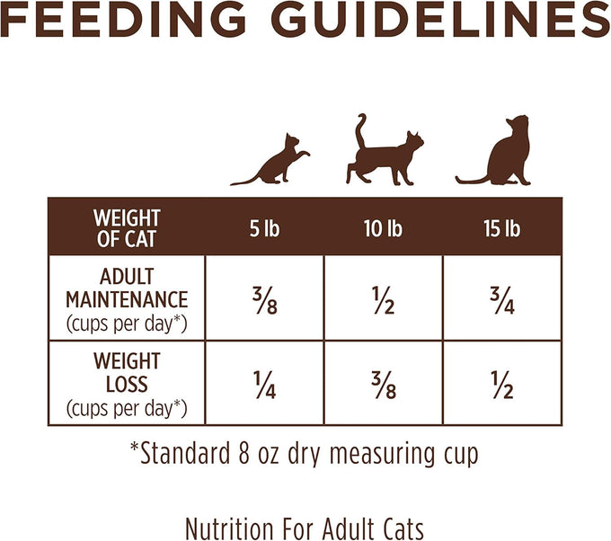 Instinct Limited Ingredient Diet natural grain free dry cat food real rabbit 4.5 lb bag