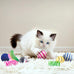 Cat Toys Set for Indoor Cats, 35-Pack Interactive Toy Set with Colorful Springs and Mouse