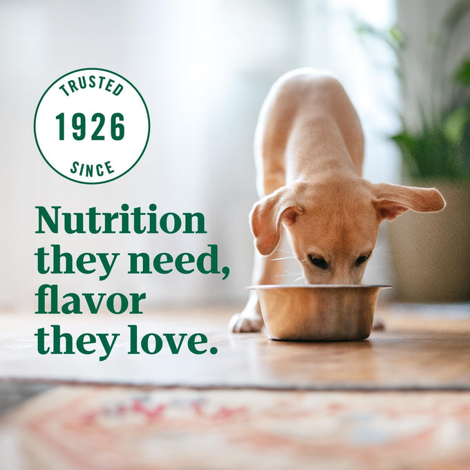 Nutro Ultra High Protein Dry Puppy Food, Chicken, Lamb and Salmon, Dry Dog Food with a Trio of Proteins, 3.5 lb. Bag