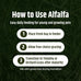 High Desert Alfalfa Hay, Protein Rich, Natural Rabbit Food and Guinea Pig Hay, 1 Lb Box, Soft Leaf for Young Growing Animals